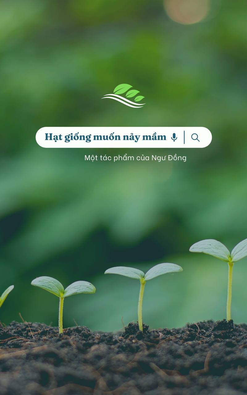 Hạt giống muốn nảy mầm