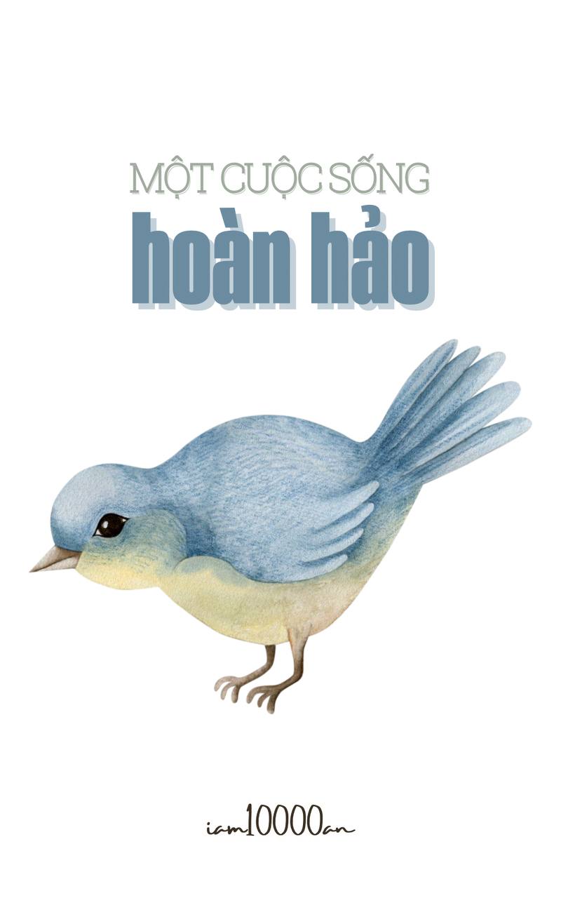 Một cuộc sống hoàn hảo